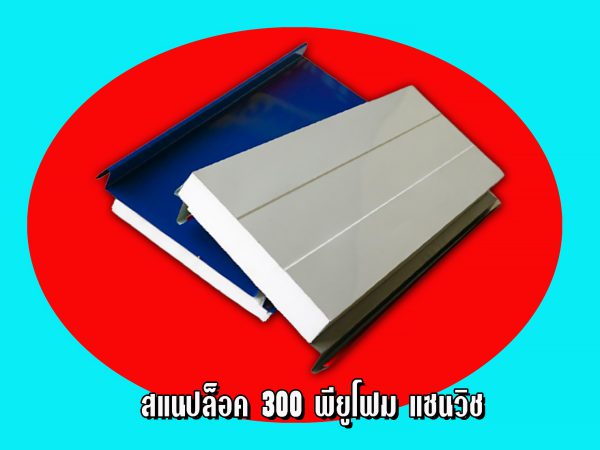 แซนวิช สแนปล็อก+EPS หนา 2"