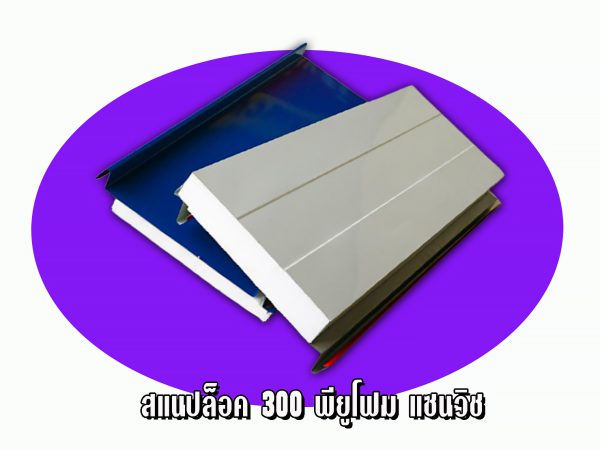 แซนวิช สแนปล็อก+EPS หนา 2"