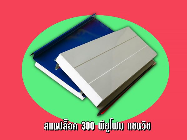 แซนวิช สแนปล็อก+EPS หนา 2"