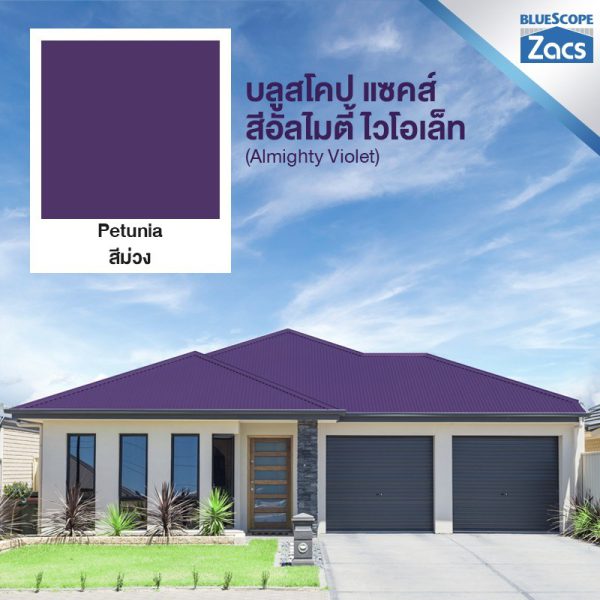 อัลไมตี้ ไวโอเล็ท บลูสโคป แซคส์ (BLUESCOPE ZACS®)