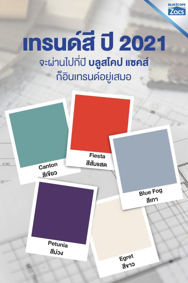 อัลไมตี้ ไวโอเล็ท บลูสโคป แซคส์ (BLUESCOPE ZACS®)