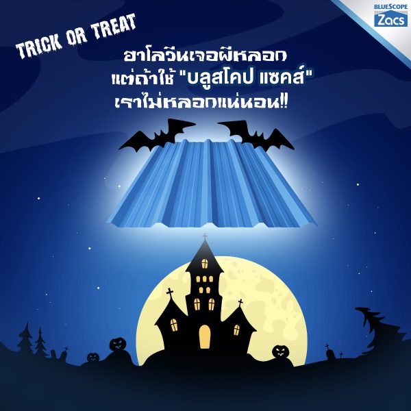 แชมพู บลู บลูสโคป แซคส์ (BLUESCOPE ZACS®)