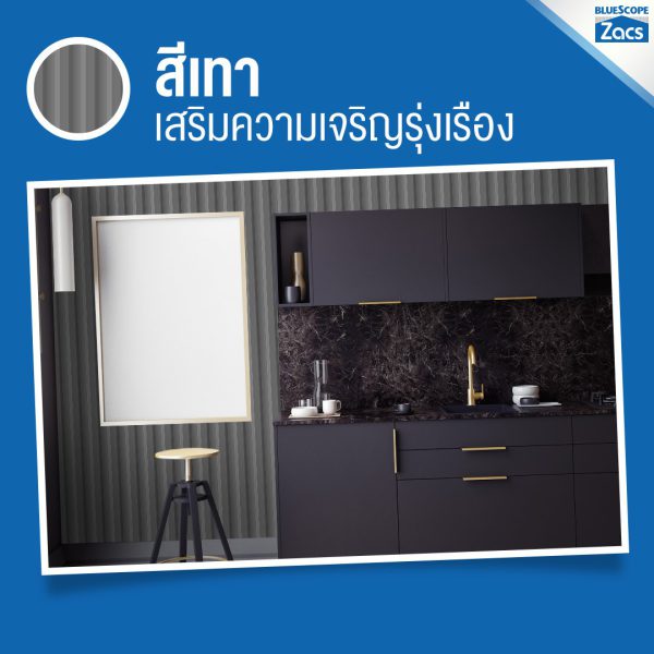 สไปเดอร์ แบล็ค บลูสโคป แซคส์ (BLUESCOPE ZACS®)
