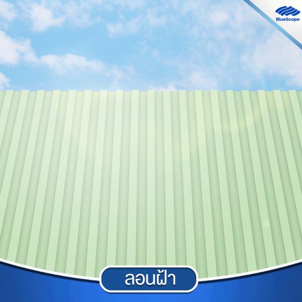 บานาน่า ลีฟ บลูสโคป แซคส์ (BLUESCOPE ZACS®)