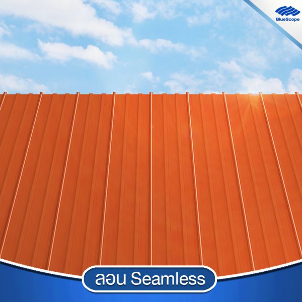 ซิตรัส โอเร้นจ์ บลูสโคป แซคส์ (BLUESCOPE ZACS®)