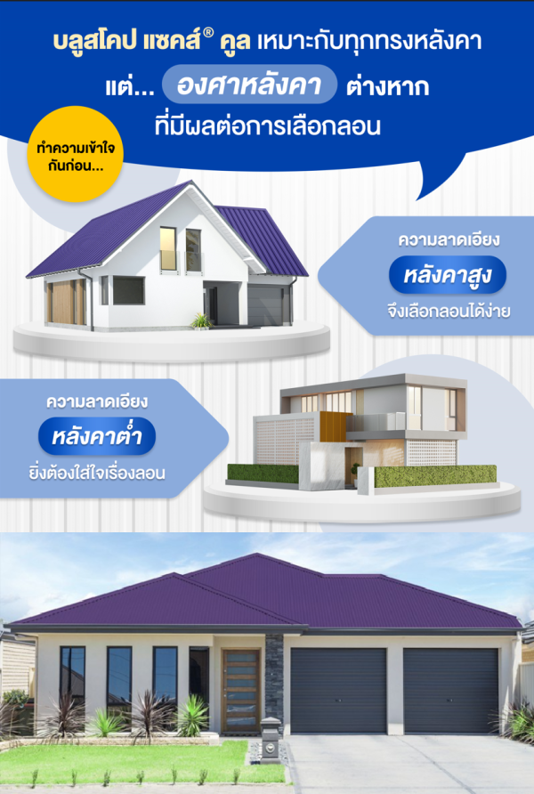 อัลไมตี้ ไวโอเล็ท บลูสโคป แซคส์ (BLUESCOPE ZACS®)