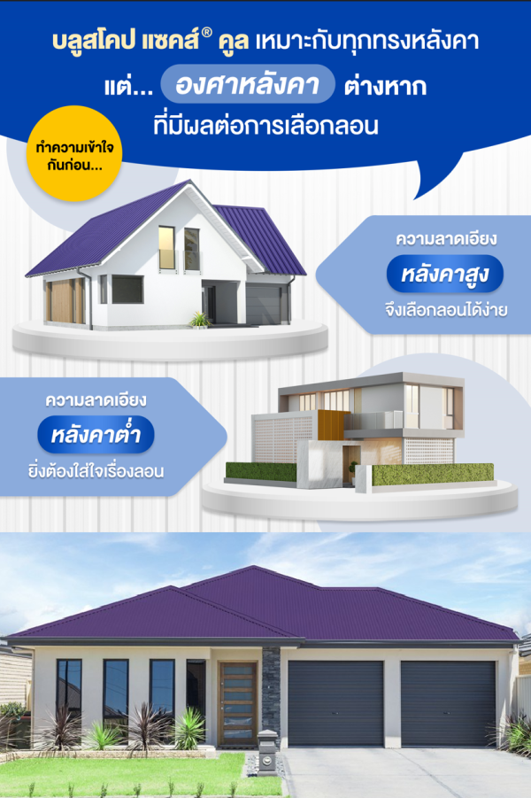 อัลไมตี้ ไวโอเล็ท บลูสโคป แซคส์ (BLUESCOPE ZACS®)