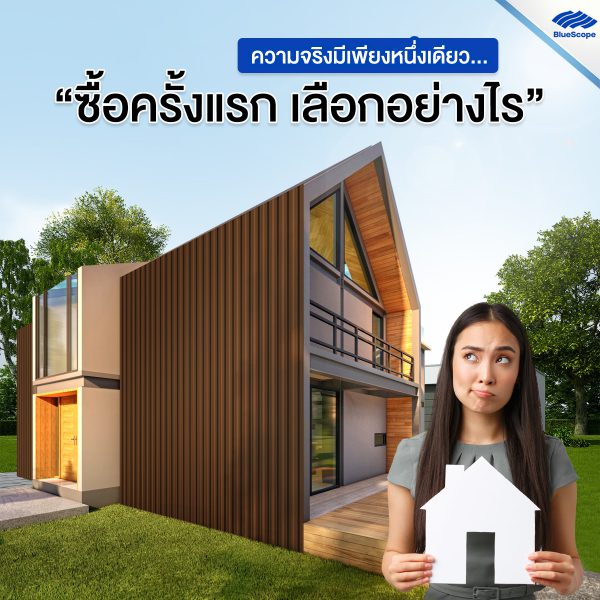 เนเชอรัล บราวน์ บลูสโคป แซคส์ (BLUESCOPE ZACS®)