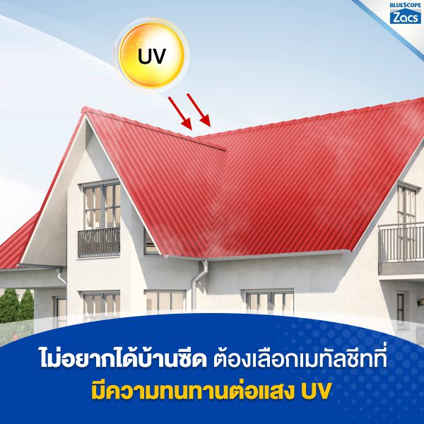 ซิตรัส โอเร้นจ์ บลูสโคป แซคส์ (BLUESCOPE ZACS®)