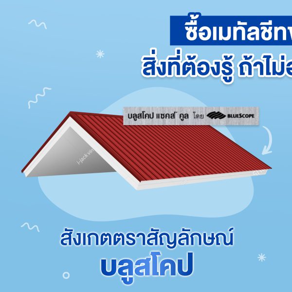 นูโว บลู บลูสโคป แซคส์ (BLUESCOPE ZACS®)