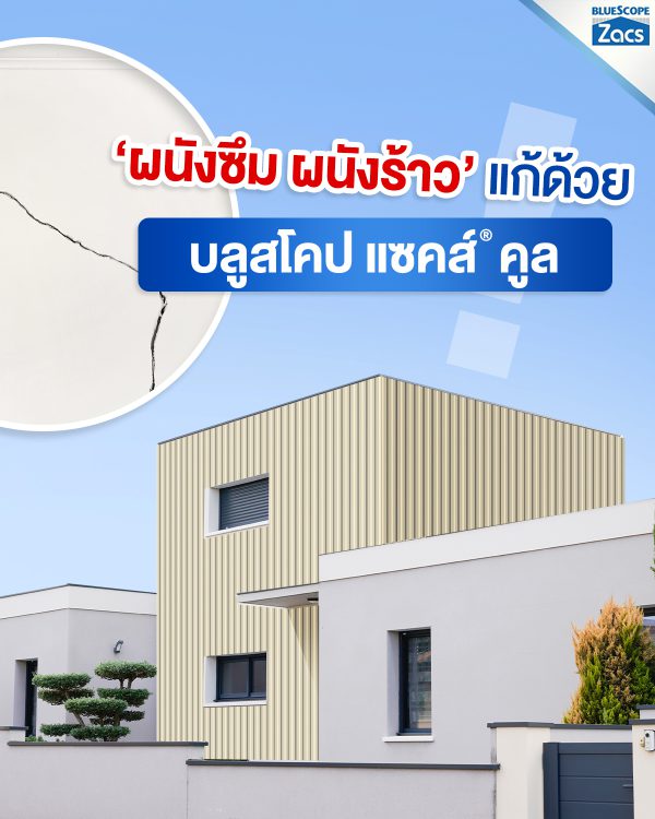 พีนัท บัทเตอร์ บลูสโคป แซคส์ (BLUESCOPE ZACS®)