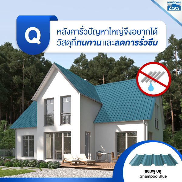 แชมพู บลู บลูสโคป แซคส์ (BLUESCOPE ZACS®)