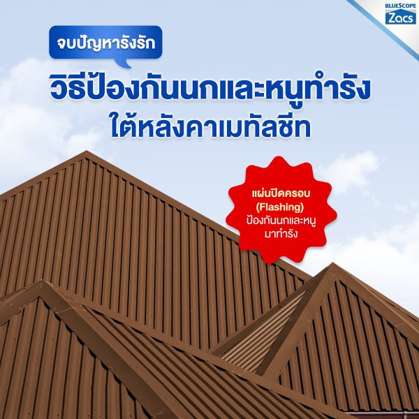 เนเชอรัล บราวน์ บลูสโคป แซคส์ (BLUESCOPE ZACS®)