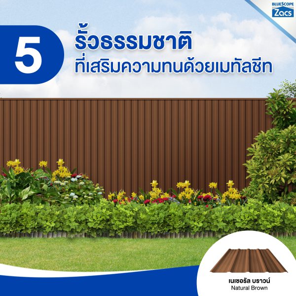 เนเชอรัล บราวน์ บลูสโคป แซคส์ (BLUESCOPE ZACS®)