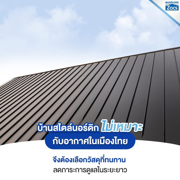 สไปเดอร์ แบล็ค บลูสโคป แซคส์ (BLUESCOPE ZACS®)