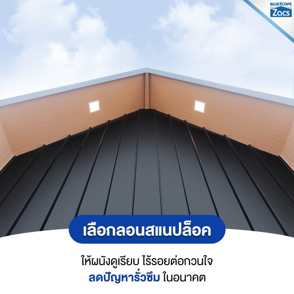 สไปเดอร์ แบล็ค บลูสโคป แซคส์ (BLUESCOPE ZACS®)