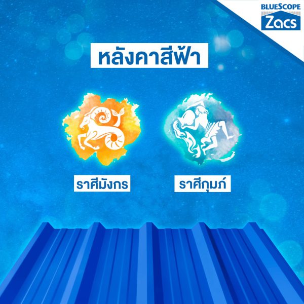 แชมพู บลู บลูสโคป แซคส์ (BLUESCOPE ZACS®)