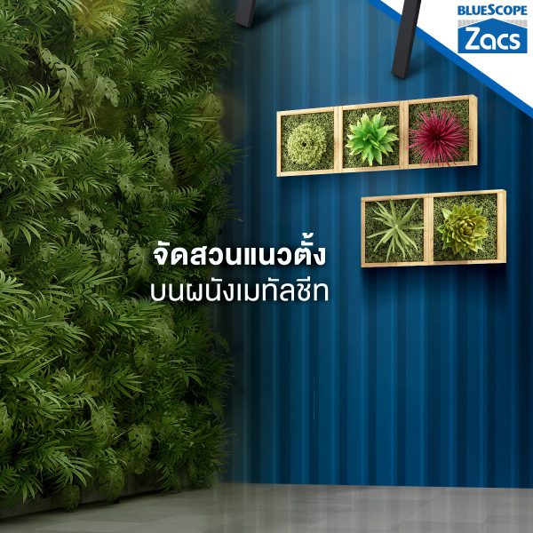 นูโว บลู บลูสโคป แซคส์ (BLUESCOPE ZACS®)
